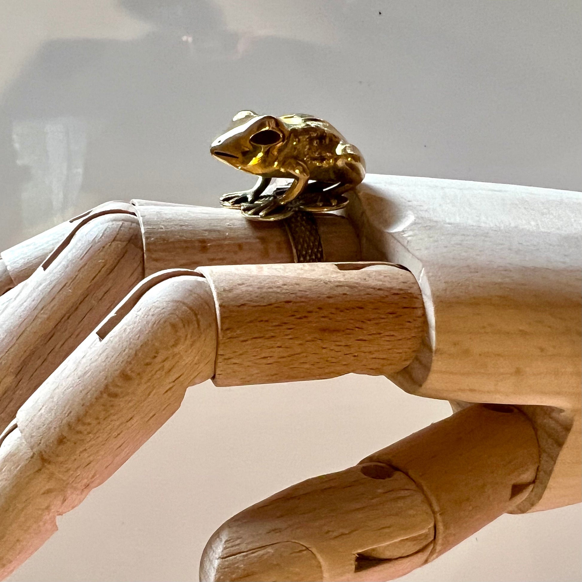 Mpetea Frog Ring on hand