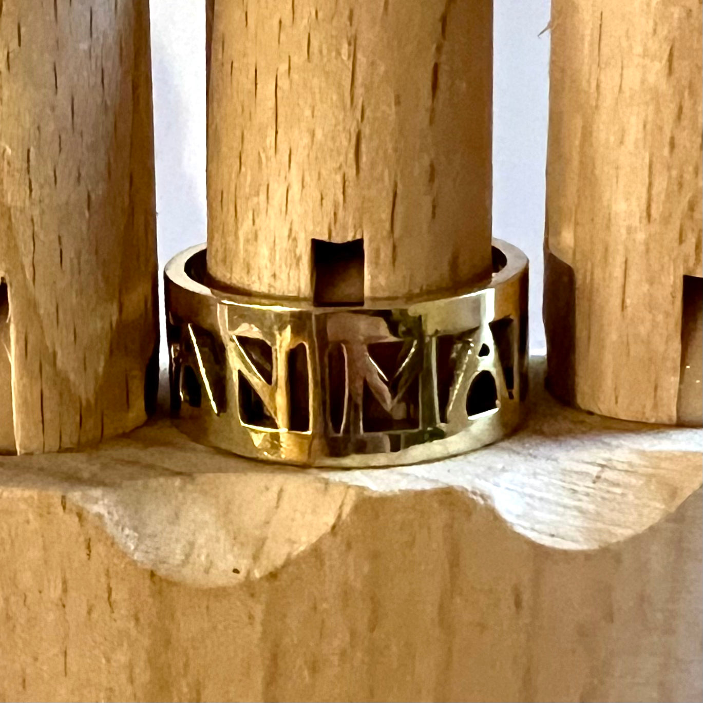 Fit of the Anima Roman ring